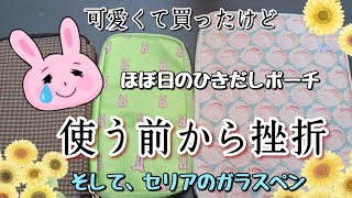 ほぼ日の引き出しポーチ、使いこなせないかも。そうかも。★セリアのガラスペンで描いてみる。