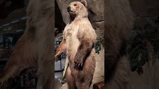 #youtubeshortsvideo #tsawwassenmills, #vancouverbc , #shoppingmall  #outletshopping #canadashopping,