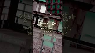 『위법건축』레이, 솔로 아티스트 데뷔『違法建築』 礼衣、ソロアーティストデビュー #리릭비디오 #LyricVideo #礼衣 #違法建築 #リリックビデオ