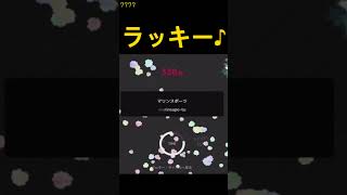 え、やったー！【Popタイピング】127 #short