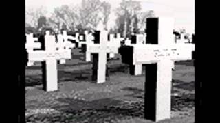 Cannon Fodder GBC intro (with audio reconstructed from ROM rip)