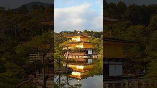 🏯 Discover Kinkaku-ji's Hidden Wonders: Kyoto's Golden Gem! ✨🌸