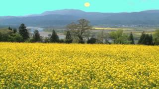 文部省唱歌　朧月夜