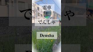 【Japanesesenary】#learnjapanese #japanesesenary #todaysword #visitjapan