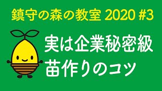 鎮守の森の教室2020 #3 土壌作り、種まき、鉢上げから水やりまで