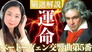 【名曲解説】ベートーヴェン交響曲第5番《運命》を詳しく解説
