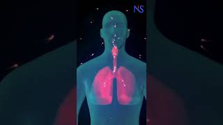 Uncovering the Secrets of COVID-19 Resistance #covid19 #coronavirus #corona