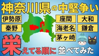 【神奈川県の中堅争い】鎌倉、大和、海老名、茅ヶ崎、座間、伊勢原、秦野を都会度で徹底比較！