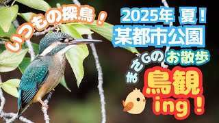 2025年夏 某都市公園
