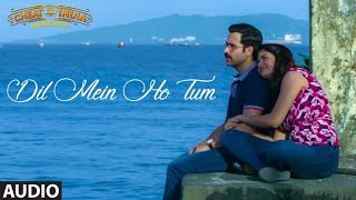 Dil Me Ho Tum Full Audio Song