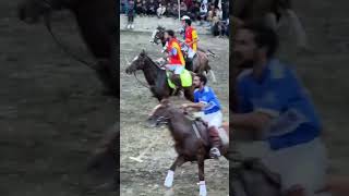 heavy horse rider  #horse #animalencounter  #short