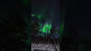 Northern Light | Relaxing night #northernlight #relaxingnight #adventure #travel #explore #nature