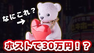 ホストで30万円のクマ!? テディデキャンタを紹介！【高級お酒紹介】