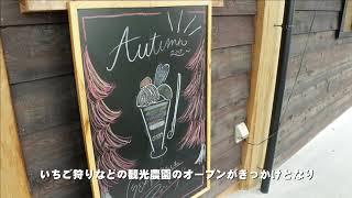 【森ジョブ】林業とカフェ経営(株式会社 山田林業)