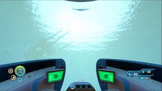 Finally subnautica