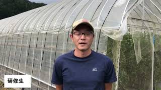 東美濃夏秋トマト生産協議会　研修農場