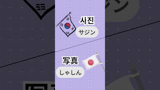 【第5弾】衝撃！日本語「写真」と完全に同じ発音の韓国語「사진」！？にゃんけんまる先生 #韓国語勉強 #日常韓国語 #雑学 #オノマトペ