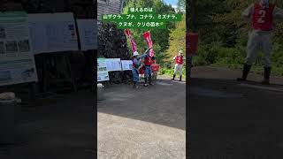 北陸コカ・コーラうるおいの森づくり活動「植林」　#shorts #北陸コカコーラ #富山 #いろはす #天然水 #森づくり#企業の森づくり#利賀