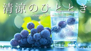 Calm Guitar & Piano BGM | Water Drops & Gentle Breeze