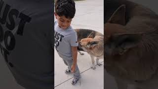 The moment we knew something was wrong #shorts ￼