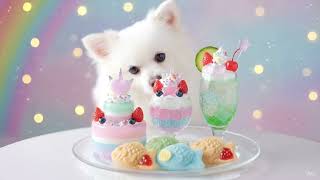 【ASMR】白いふわふわの犬が不思議な食べ物を食べる🐩咀嚼音動画｜たい焼き/和菓子/エビフライ定食｜ASMR Eating sounds #ASMR #asmrsounds #咀嚼音