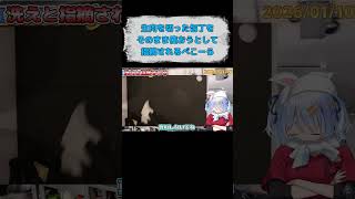 包丁を洗えと指摘されてブチギレるぺこーら【切り抜きホロライブ/兎田ぺこら】