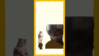 チピダンス#shorts