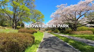 SHOWA KINEN PARK | National Park In Japan | Tokyo | Tacikawa City