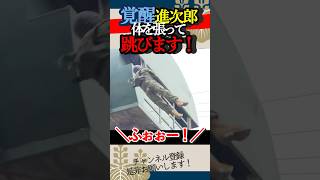【衝撃の飛行】小泉進次郎　自衛隊降下訓練体を張って跳ぶ！【覚醒進次郎】#小泉進次郎 #自衛隊 #高市早苗 #総理大臣
