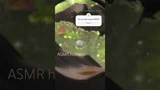 I love watching these Sandscapes. Total relaxation #asmr #asmrvideo #sandscape