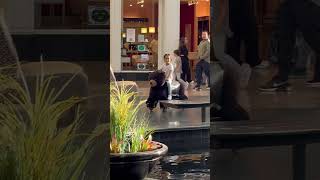 Riding on elephant and bear.