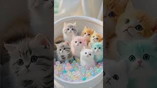 pehla kalma tayab kids Islamic cartoon video #kalima #kidscartoon #kidsislamicvideo #islam #naat