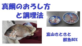 真鯛のおろし方と調理法