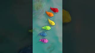 Let's Play - Colorful Baby Shark! 🎨 | CoComelon Animal Time | Moonbug Kids - Farm Animals