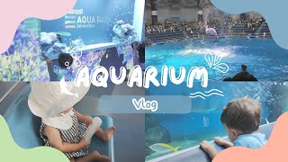 Going to the Aquarium🐬