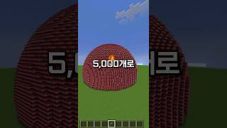 워든 vs 5,000강화 활