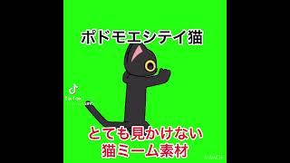 とても見かけない猫ミーム素材#猫ミーム #shorts #ねこミーム #猫ミーム素材