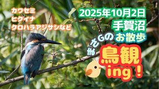 2025年10月2日 手賀沼