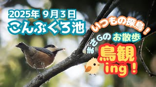 2025年9月3日 こんぶくろ池