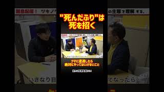 "Playing dead" can lead to death | What you should never do if you encounter a bear #Totele #Toho...