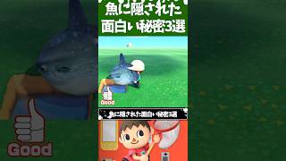 Animal Crossing: New Horizons: 3 Interesting Secrets Hidden in Fish