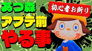 【玄人向け】あつ森の無料アプデまでに絶対やるべき事！【あつまれどうぶつの森】