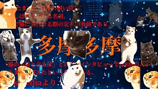 【音MAD】猫ミームで多摩多摩