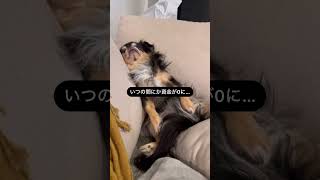 フリーランス、ぶっちゃけ過酷すぎた…😱#フリーランス