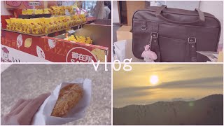 旅行や部屋の片付けで忙しかった春休みの数日間