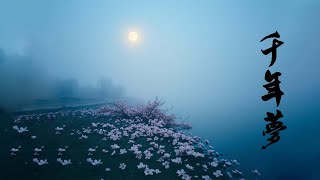 《千年梦》- 古风歌词