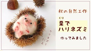 【秋の自然工作】作り方公開！栗で可愛いハリネズミ作ってみました/How to make a cute chestnut hedgehog.