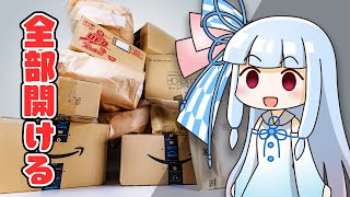 【105,599円節約した】Amazon中毒者の「ブラックフライデー爆買い品」全部紹介します。【案件無し】
