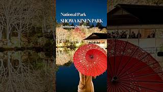 SHOWA KINEN PARK | AUTUMN LIGHT UP NIGHT WALK 2024 #tokyo #nightwalk #illumination