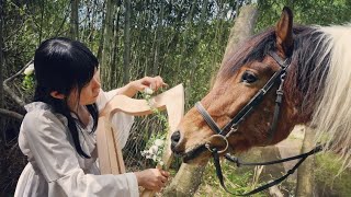 ふたたび Reprise（Harp）